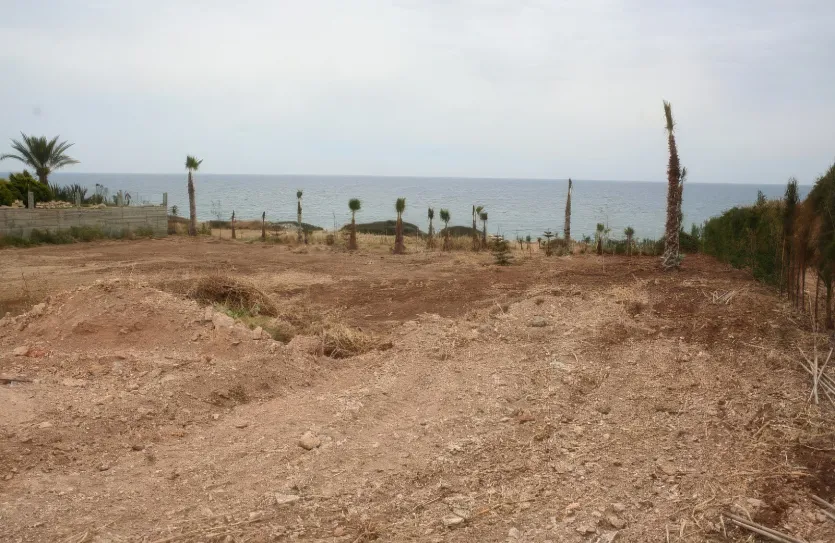 Land - 12809, photo 4