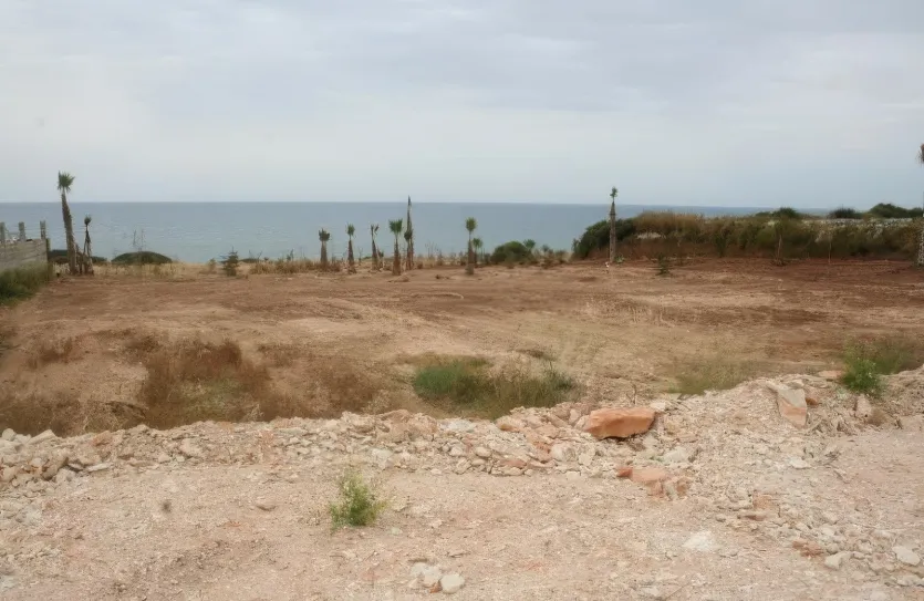 Land - 12809, photo 5