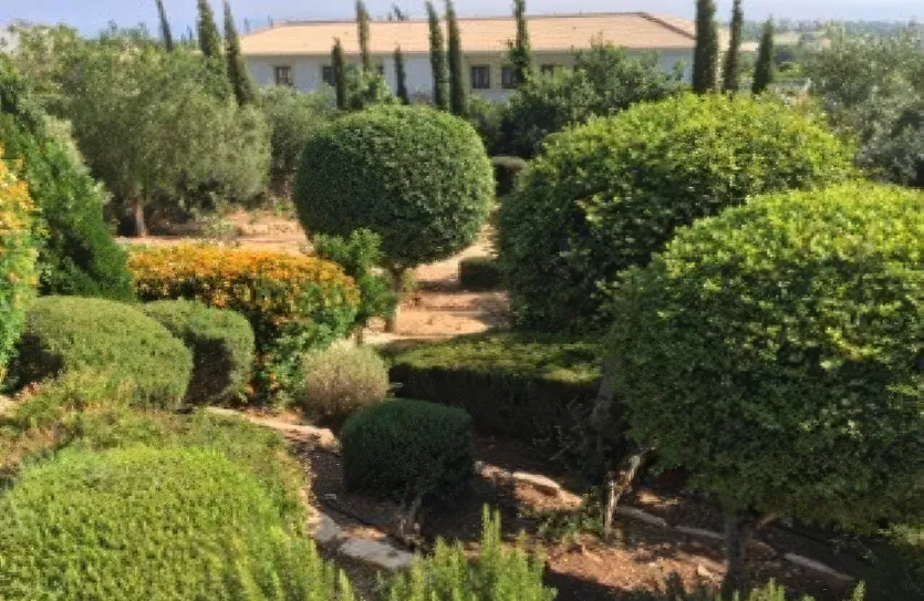 3-bedroom villa - 12972, photo 7