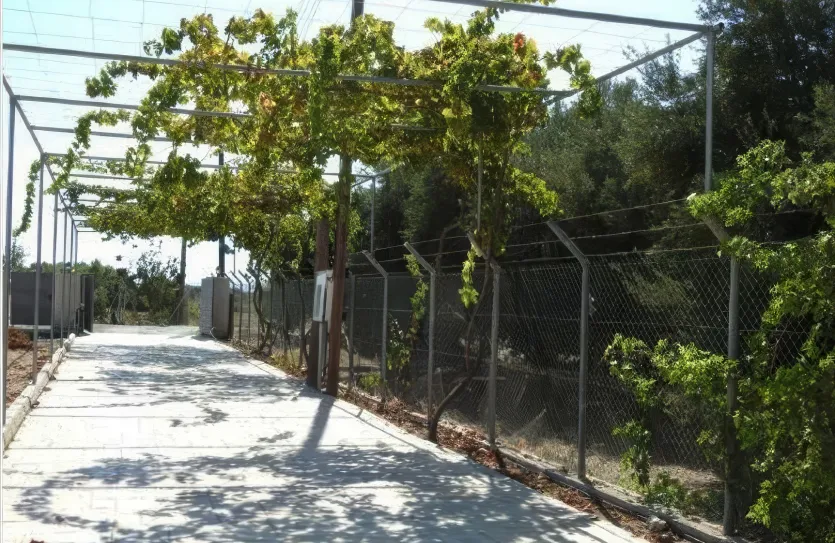 Дом с 3-мя спальнями - 13222, photo 16