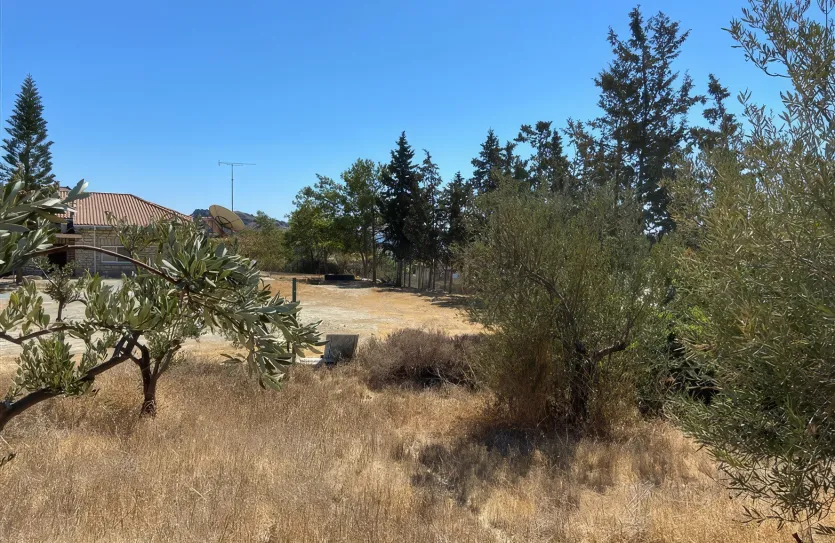 Residential plot - 13277, photo 9