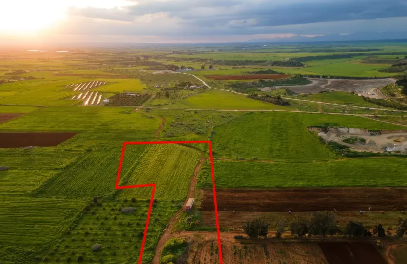 Land for sale - 14288