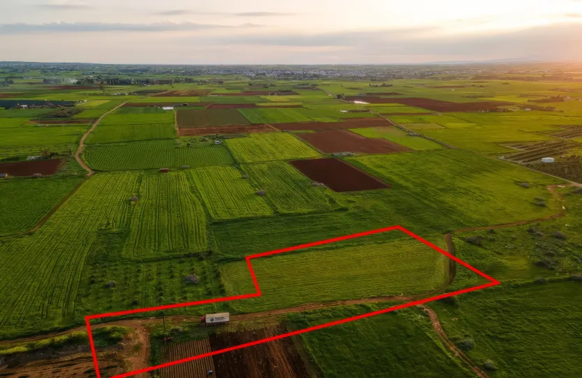 Land - 14288, photo 4