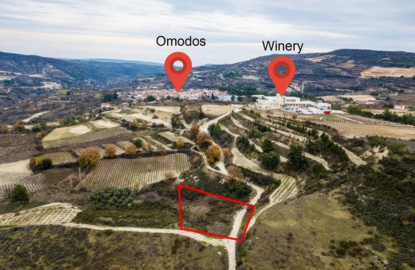 Земельный участок - 13662, photo 3