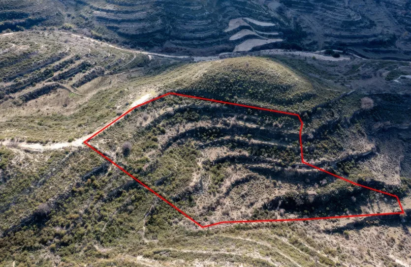 Земельный участок - 13580, photo 3