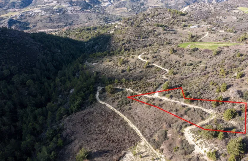 Земельный участок - 13561, photo 2