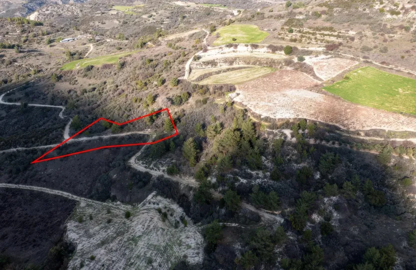 Земельный участок - 13561, photo 3