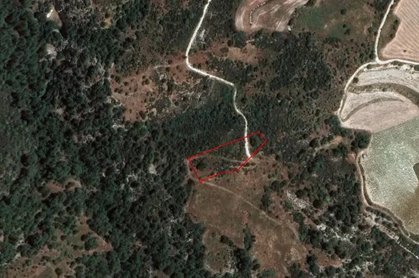 Land in Dora, Limassol