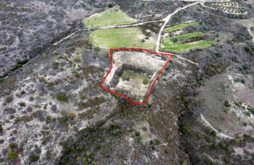 Земельный участок - 13536, photo 2