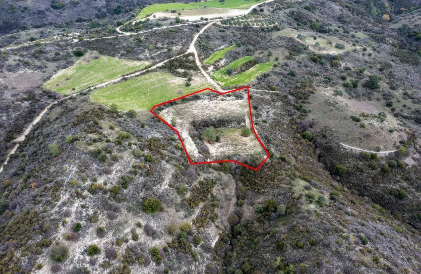 Земельный участок - 13536, photo 3