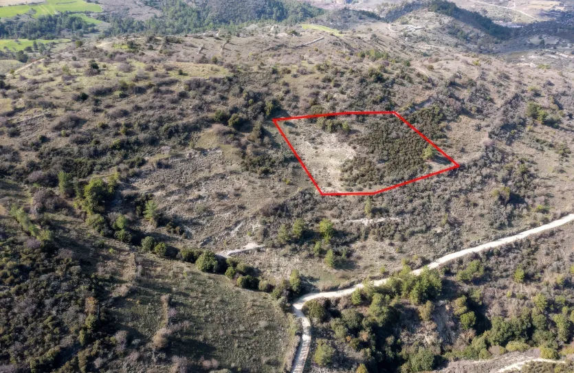 Земельный участок продажа - 13521