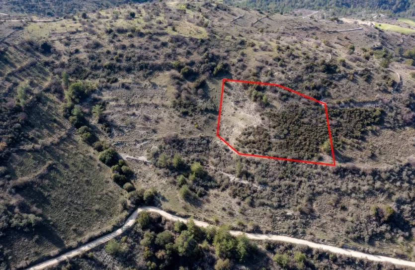 Земельный участок - 13521, photo 3