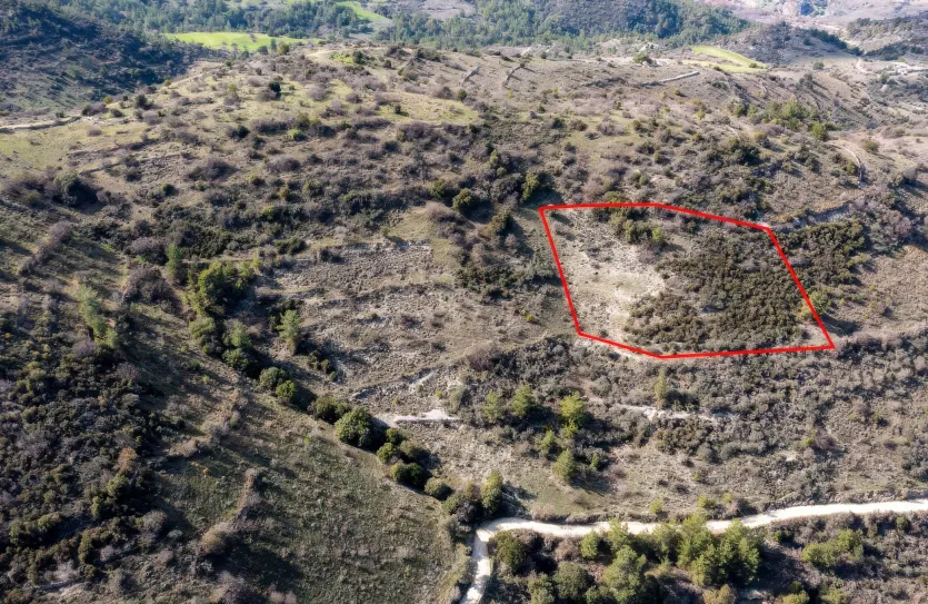 Земельный участок - 13521, photo 2