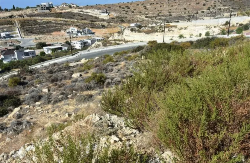 Участок - 14297, photo 9