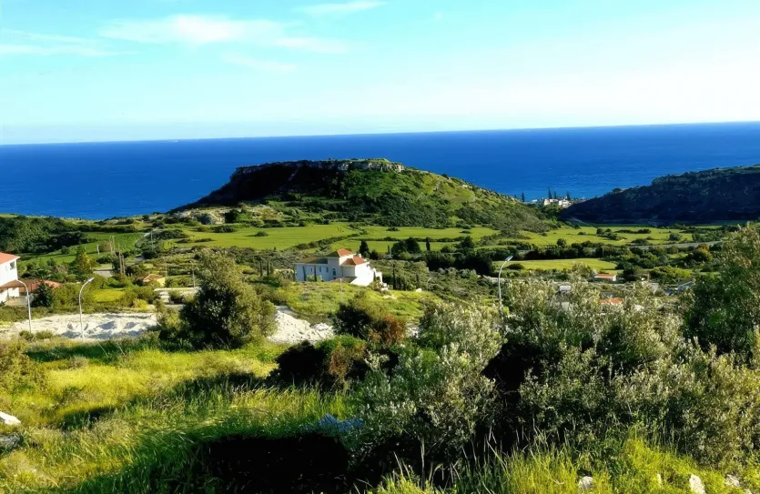 Plot - 14239, photo 3