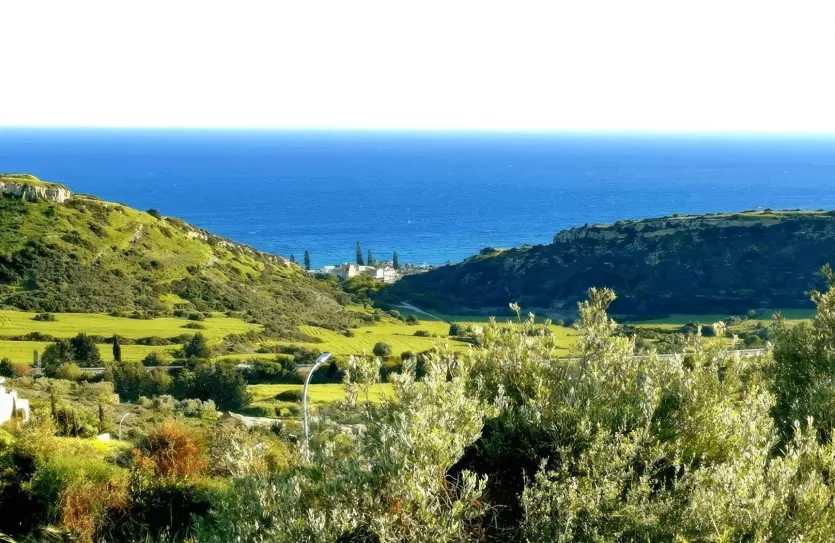 Plot - 14239, photo 2