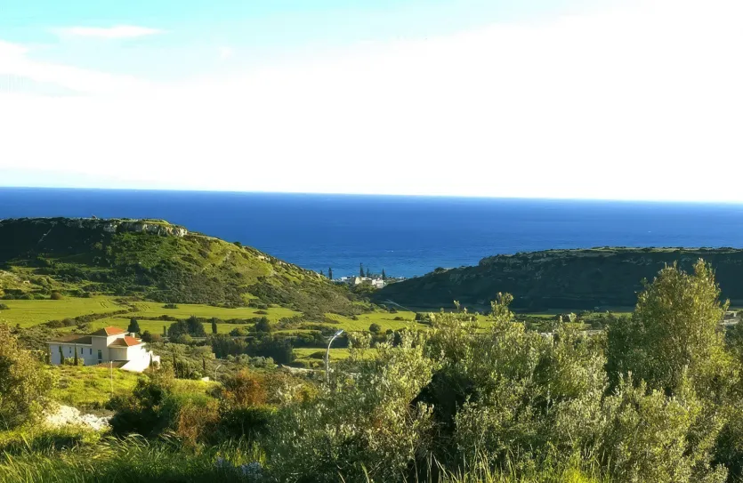 Plot - 14239, photo 10