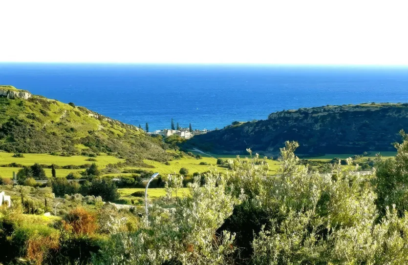 Plot - 14239, photo 15