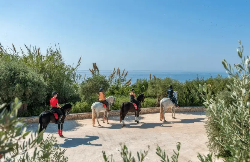 3-bedroom villa - 14904, photo 14