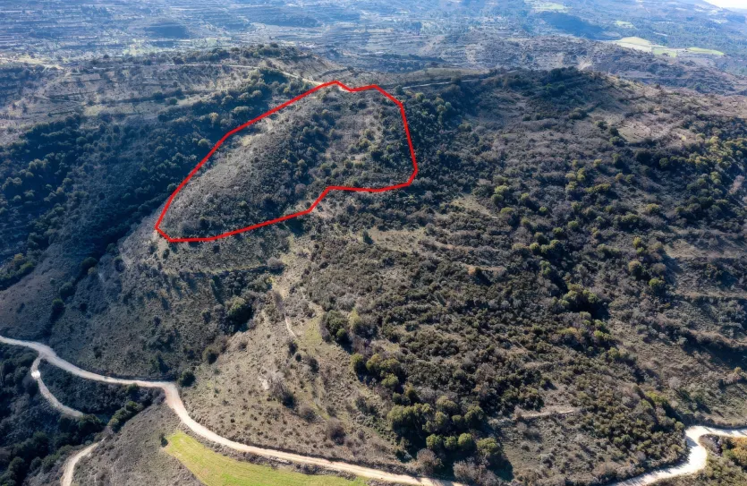 Земельный участок - 13514, photo 3