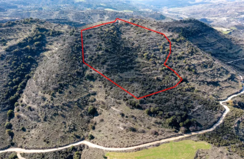 Земельный участок - 13514, photo 2