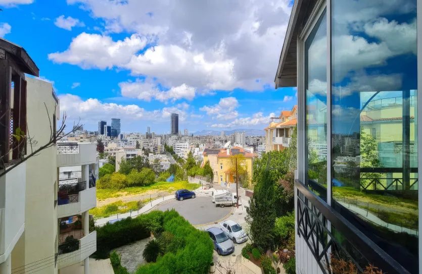 3-bedroom penthouse - 15743, photo 19