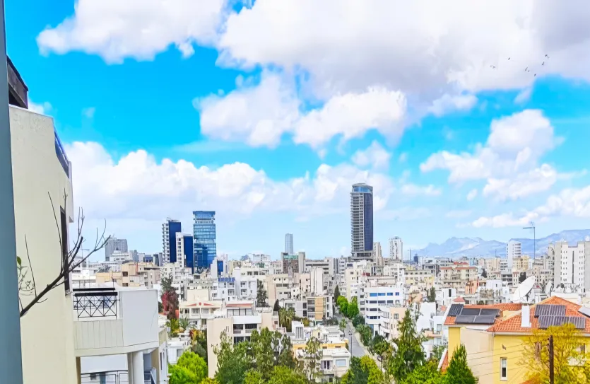 3-bedroom penthouse - 15743, photo 18