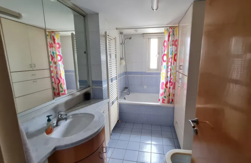 3-bedroom penthouse - 15743, photo 13