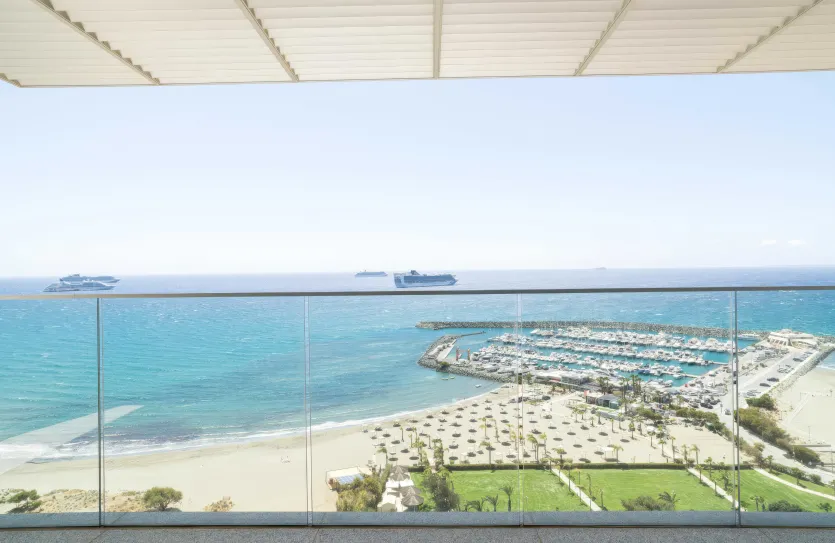 4-bedroom penthouse - 15806, photo 25