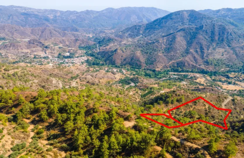 Земельный участок - 17081, photo 3