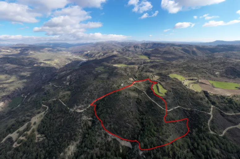 Agricultural land in Dora, Limassol