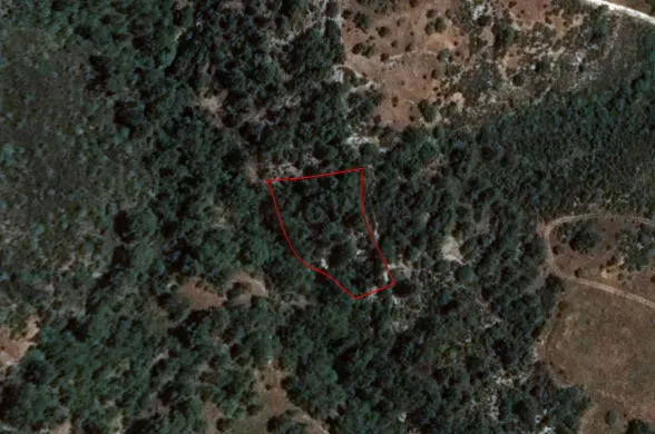 Agricultural land in Dora, Limassol