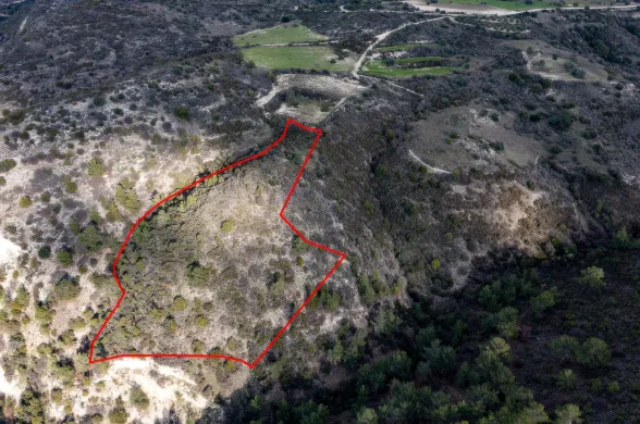 Agricultural land in Dora, Limassol