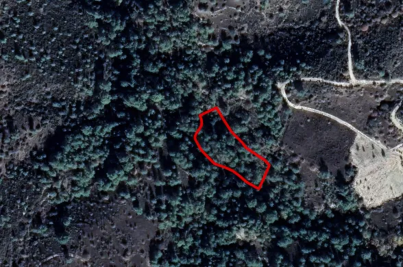 Agricultural land in Dora, Limassol