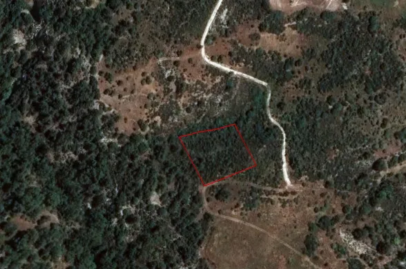 Agricultural land in Dora, Limassol