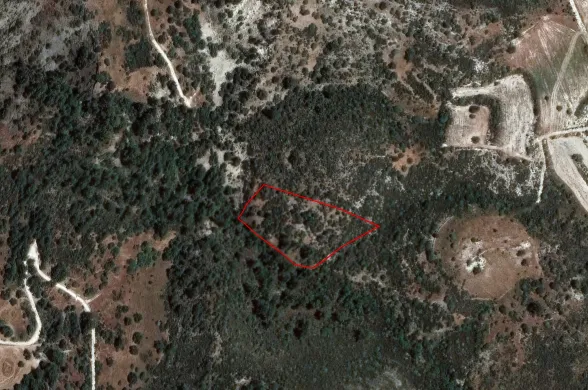 Agricultural land in Dora, Limassol