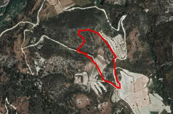 Agricultural land in Dora, Limassol