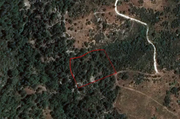 Agricultural land in Dora, Limassol