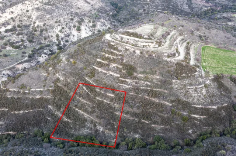 Agricultural land in Dora, Limassol