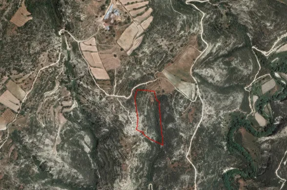 Agricultural land in Dora, Limassol