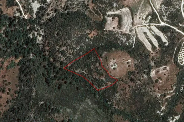 Agricultural land in Dora, Limassol