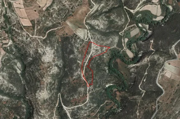 Agricultural land in Dora, Limassol