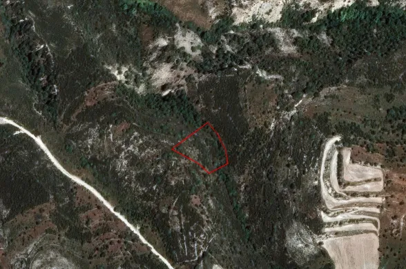 Agricultural land in Dora, Limassol