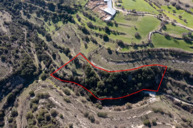 Agricultural land in Dora, Limassol