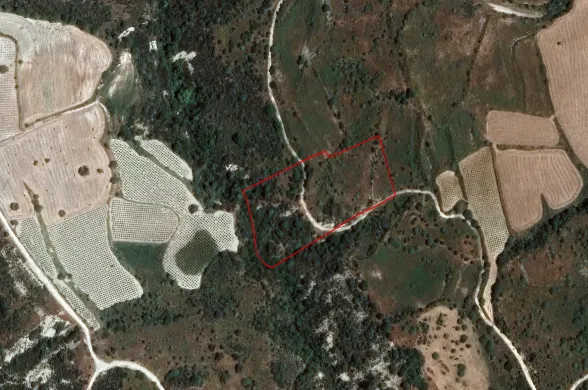 Agricultural land in Dora, Limassol