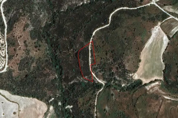 Agricultural land in Dora, Limassol