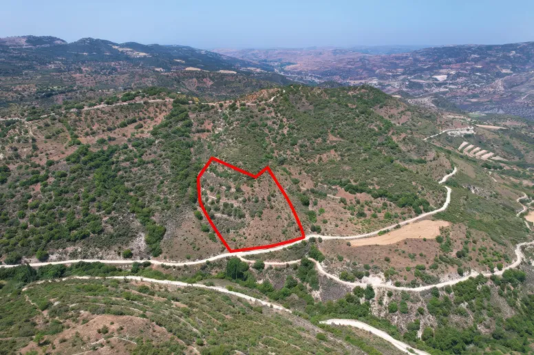 Agricultural land in Dora, Limassol