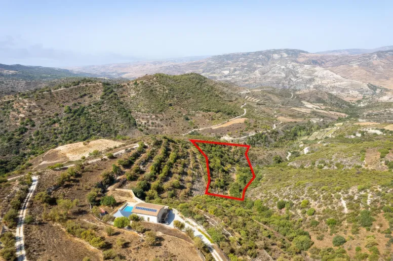 Agricultural land in Dora, Limassol