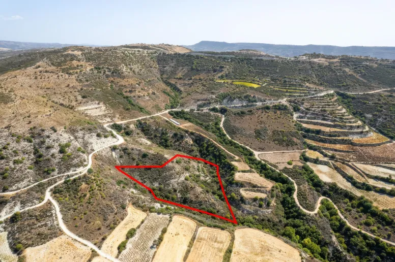 Agricultural land in Dora, Limassol