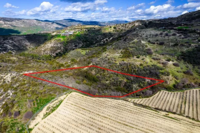 Agricultural land in Dora, Limassol